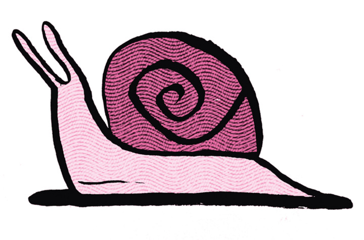 “Nova” Linha da Beira Alta também deixa operadores de mercadorias insatisfeitos